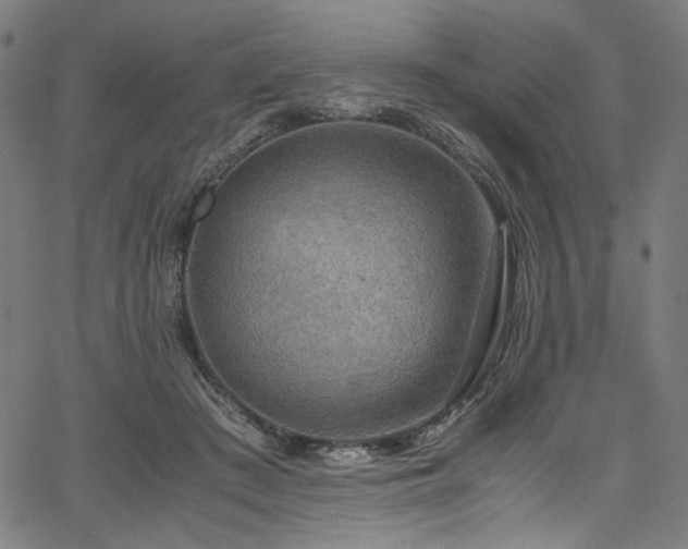 X0000067380409200603311216