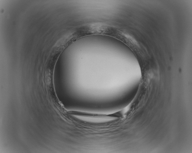 X0000067380413200603311215