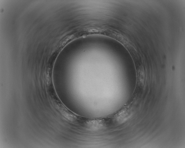 X0000067380422200603311215