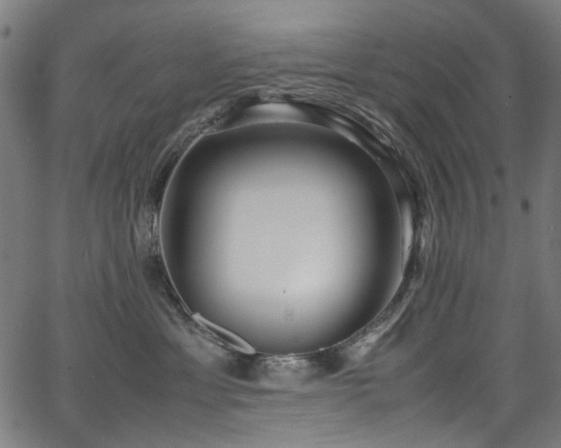 X0000067380429200603311215