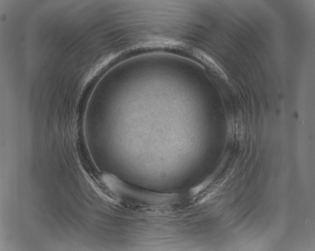 X0000067380436200603311214