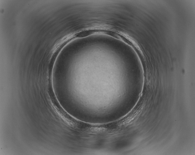 X0000067380437200603311214
