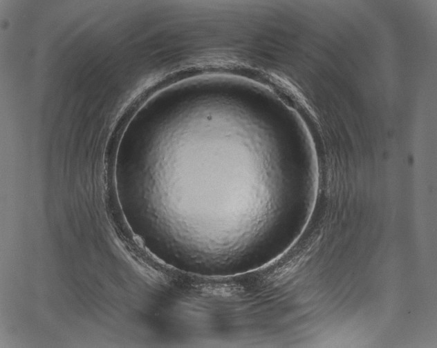 X0000067380439200603311214
