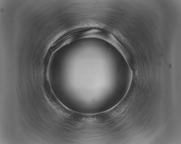 X0000067380440200603311214