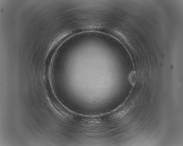 X0000067380443200603311215