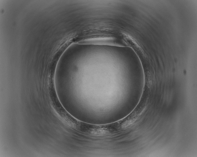 X0000067380451200603311215