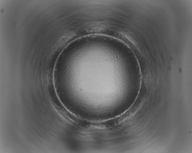 X0000067380455200603311215