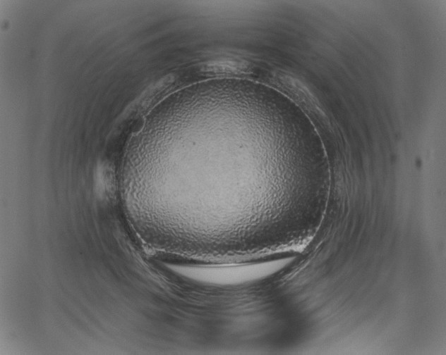 X0000067380457200603311215