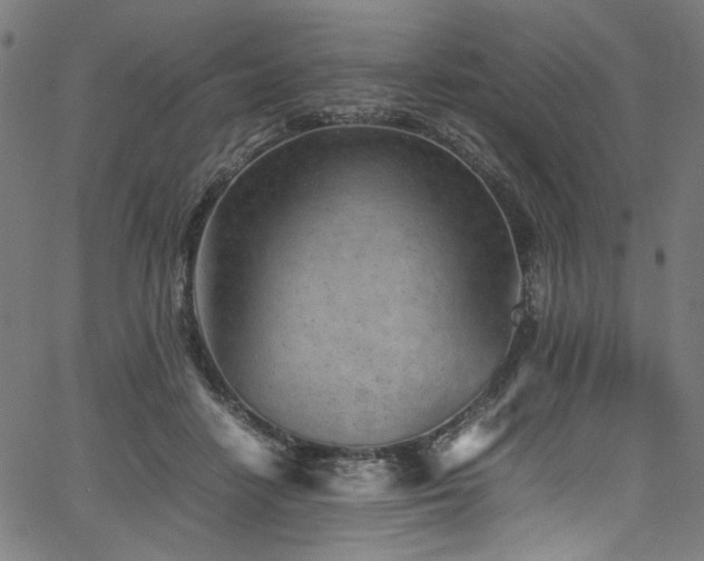 X0000067380458200603311215