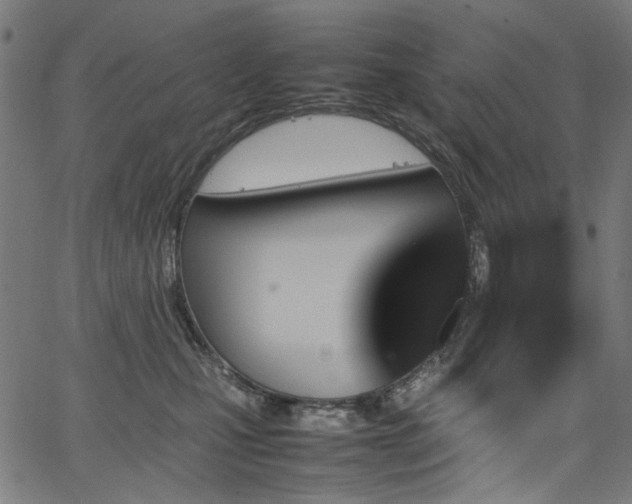 X0000067380471200603311215