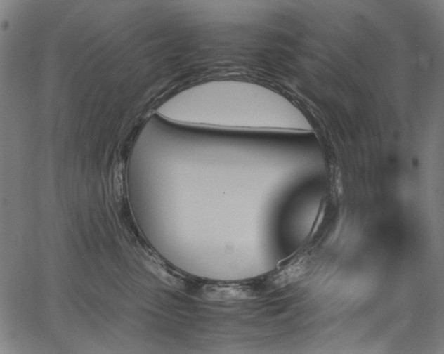X0000067380475200603311215