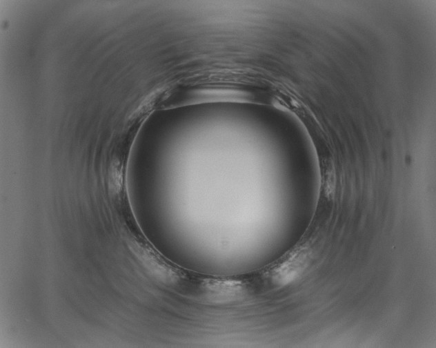 X0000067380476200603311215