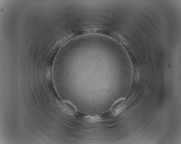 X0000067380477200603311215