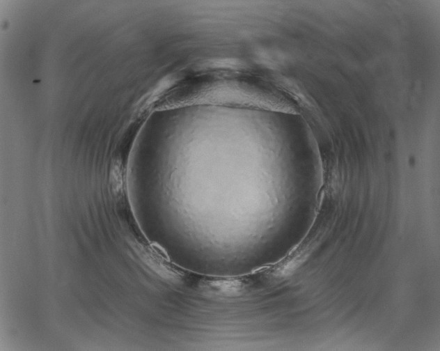 X0000067380478200603311215