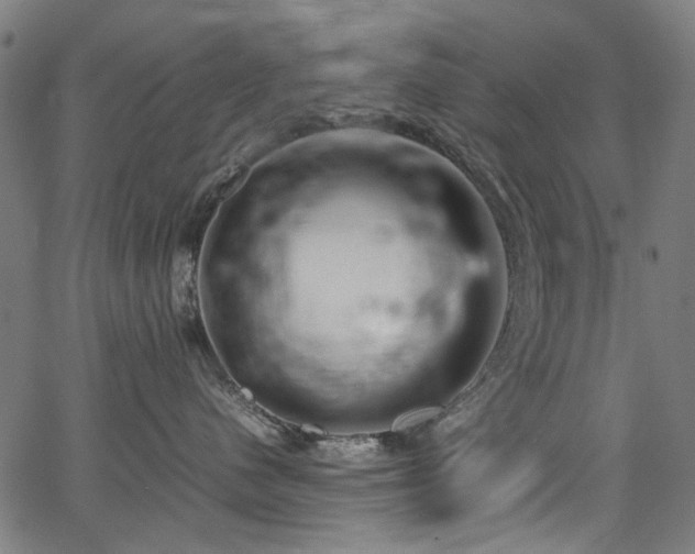 X0000067380480200603311215