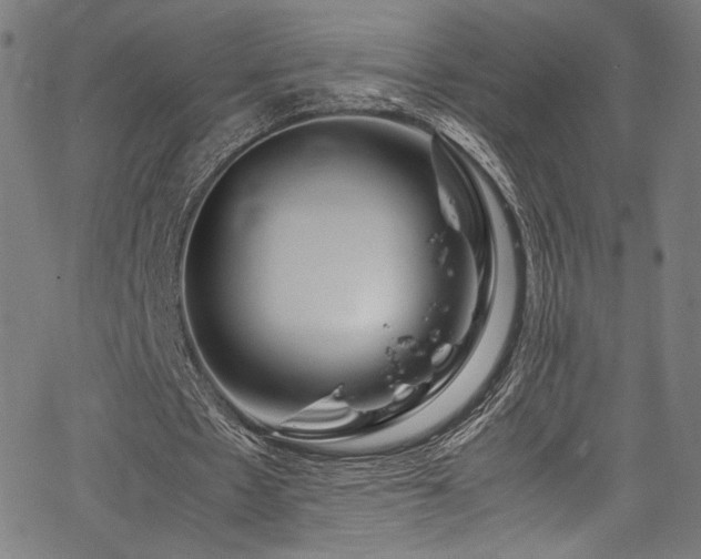X0000067380481200603311214