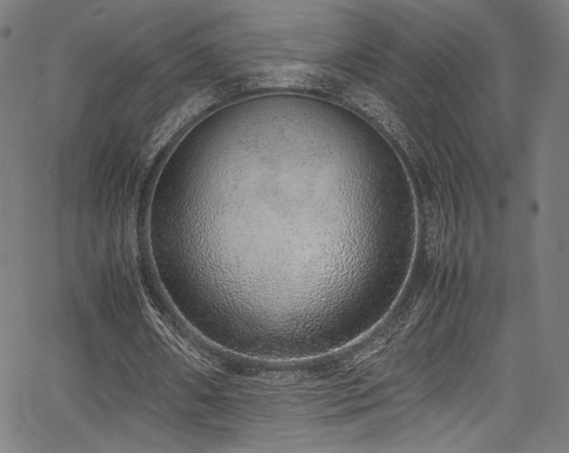 X0000067380482200603311214