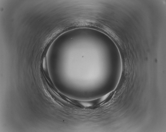 X0000067380485200603311214