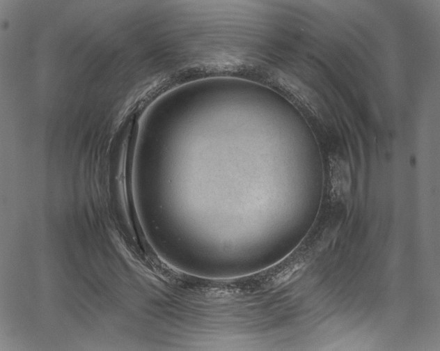 X0000067380494200603311214
