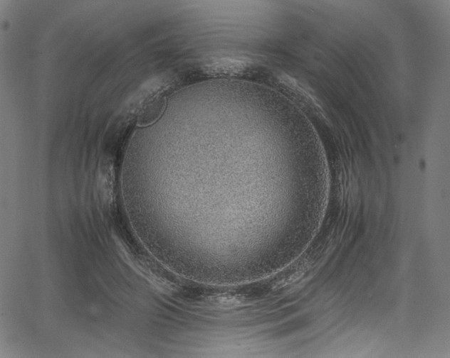 X0000067380498200603311214