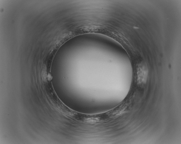 X0000067380508200603311214