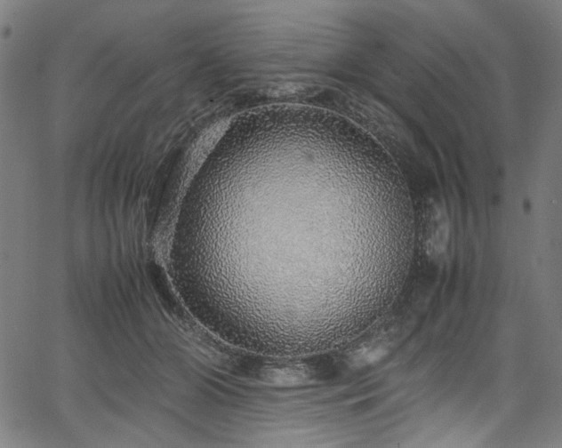 X0000067380510200603311214