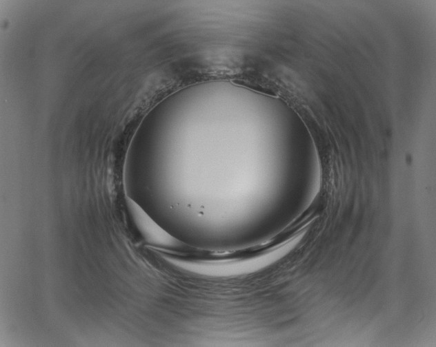 X0000067380512200603311214