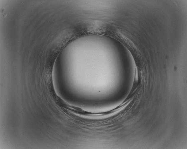X0000067380513200603311214