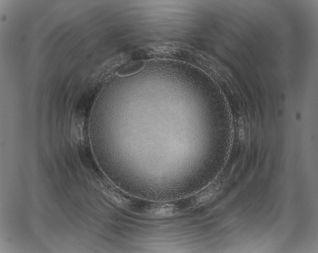 X0000067380514200603311214