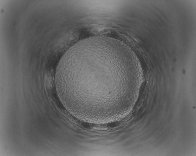 X0000067380515200603311214