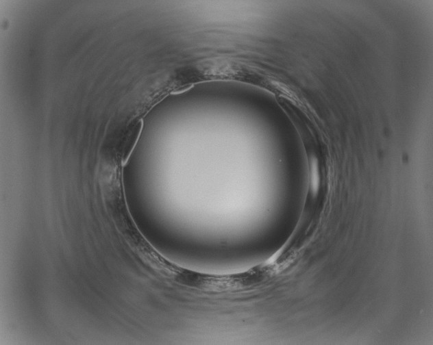 X0000067380521200603311214