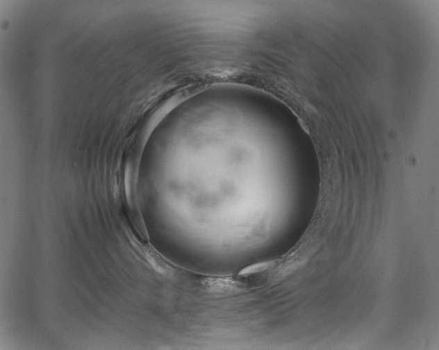 X0000067380528200603311214