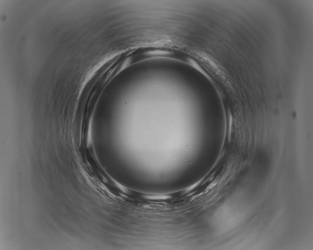X0000067380532200603311213