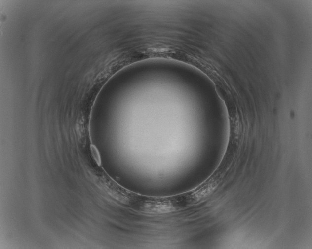 X0000067380559200603311213