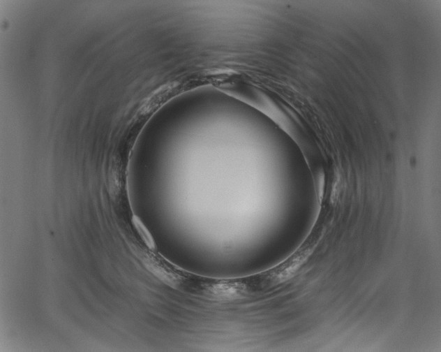 X0000067380566200603311213