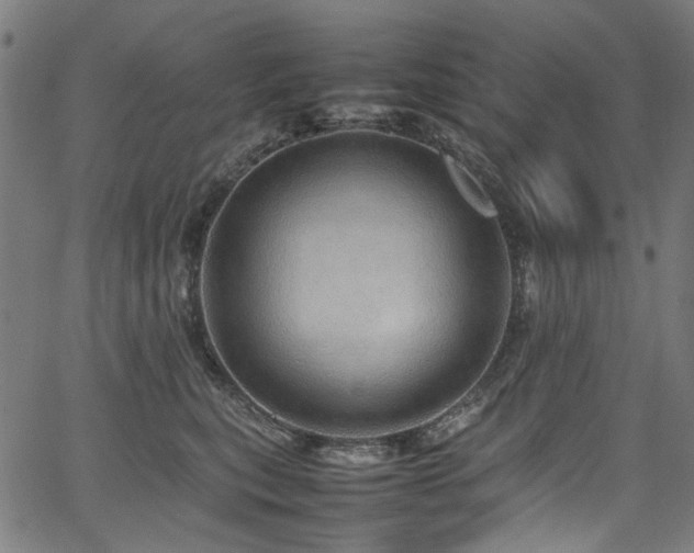 X0000067380567200603311213