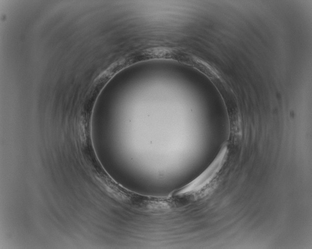X0000067380572200603311213