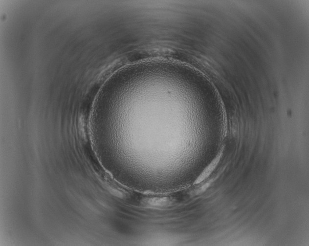 X0000067380575200603311214
