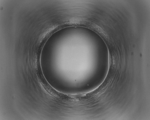 X0000067380588200603311213