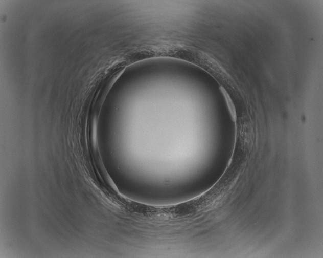 X0000067380593200603311212