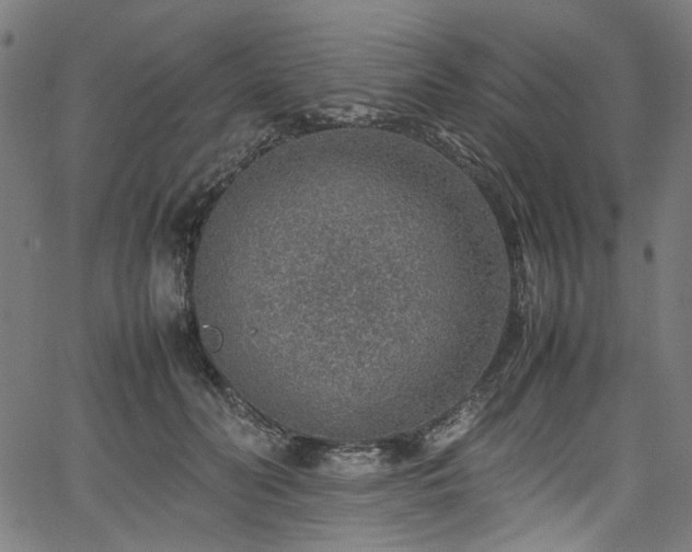 X0000067380606200603311212