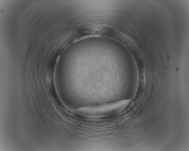 X0000067380607200603311212