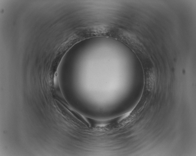 X0000067380608200603311212