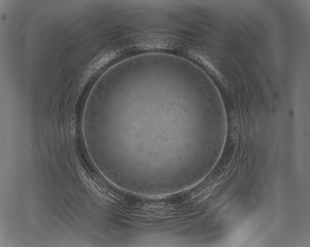 X0000067380631200603311211