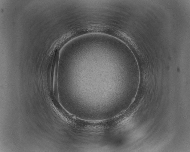 X0000067380633200603311211