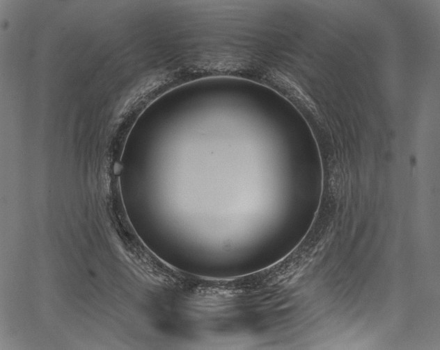 X0000067380635200603311211