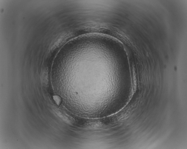 X0000067380642200603311211