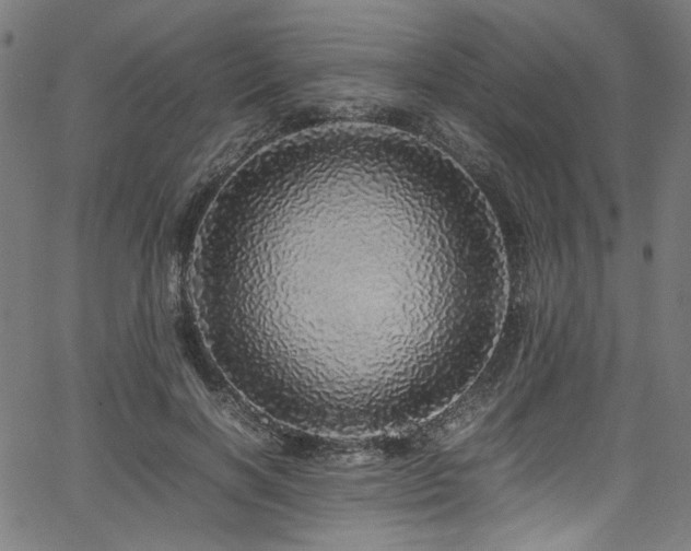 X0000067380646200603311212