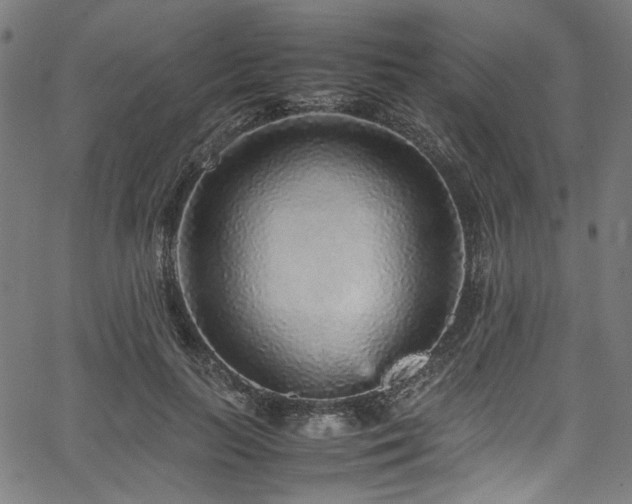 X0000067380647200603311212