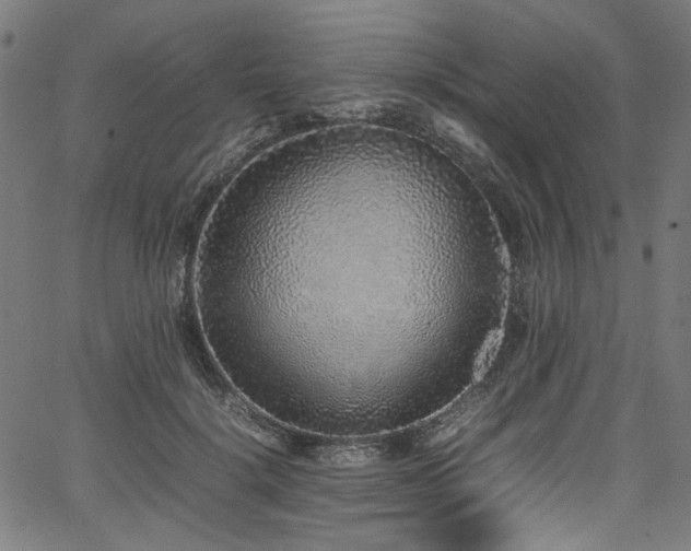 X0000067380652200603311212